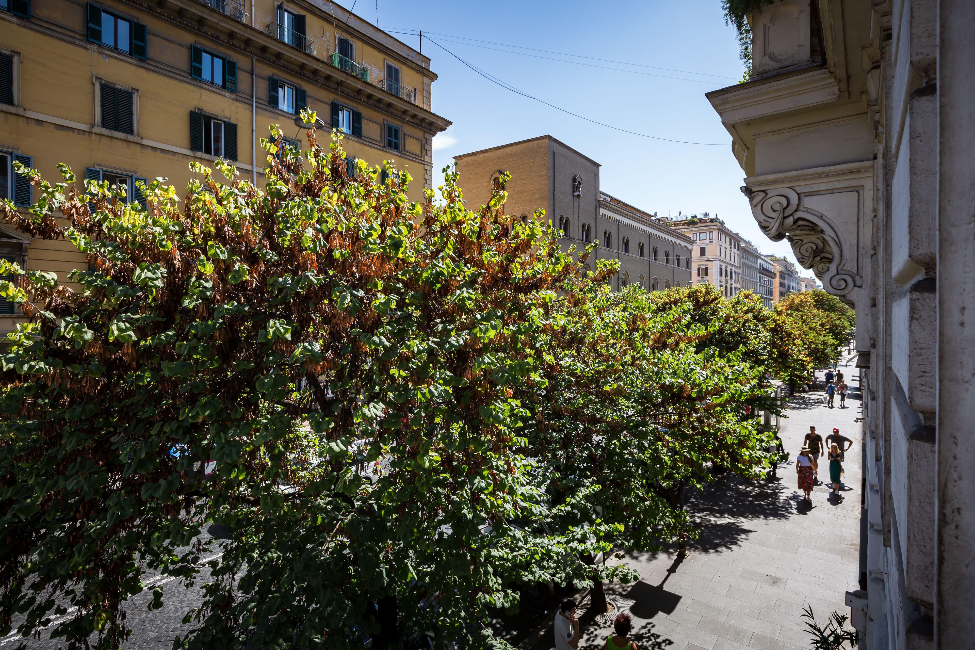 Residenza Vatican Suite, Rome